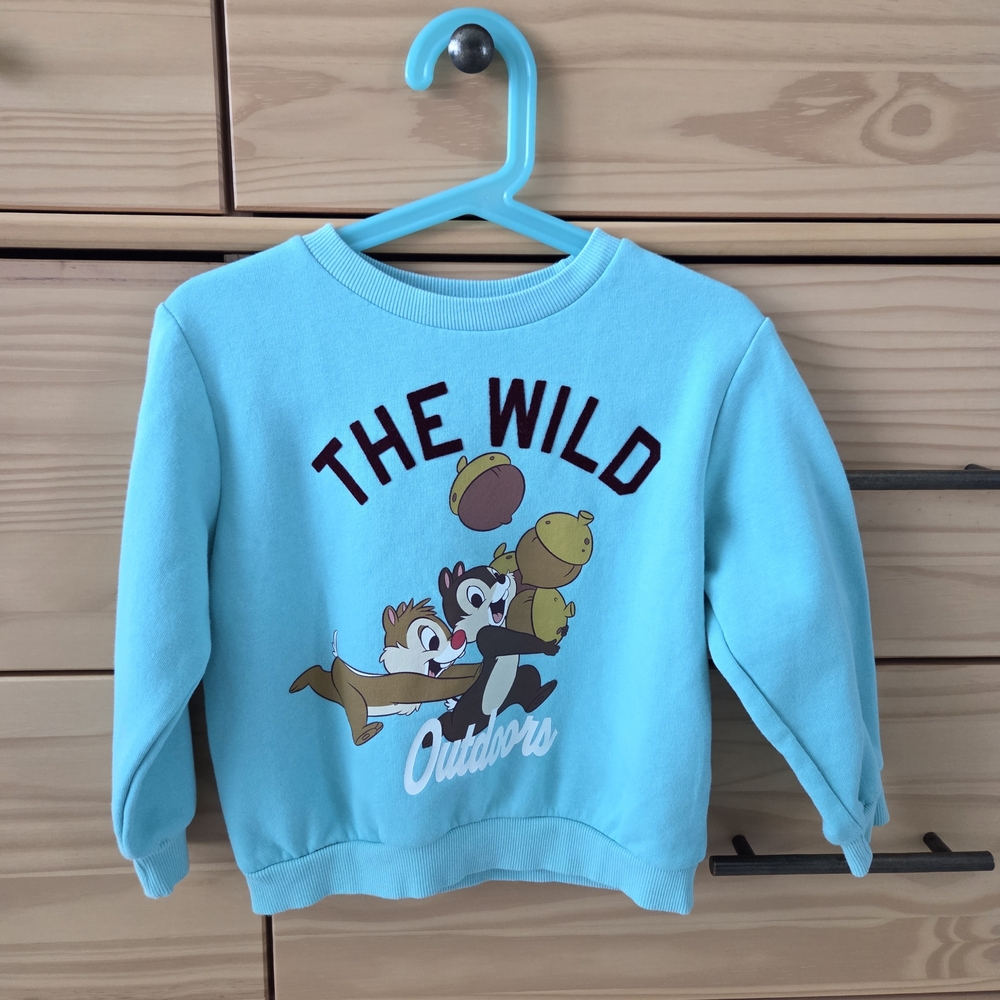H&M × DISNEY Printed Turquoise CHIP AND DALE Kids Sweatshirt Top Size 3T To 4T